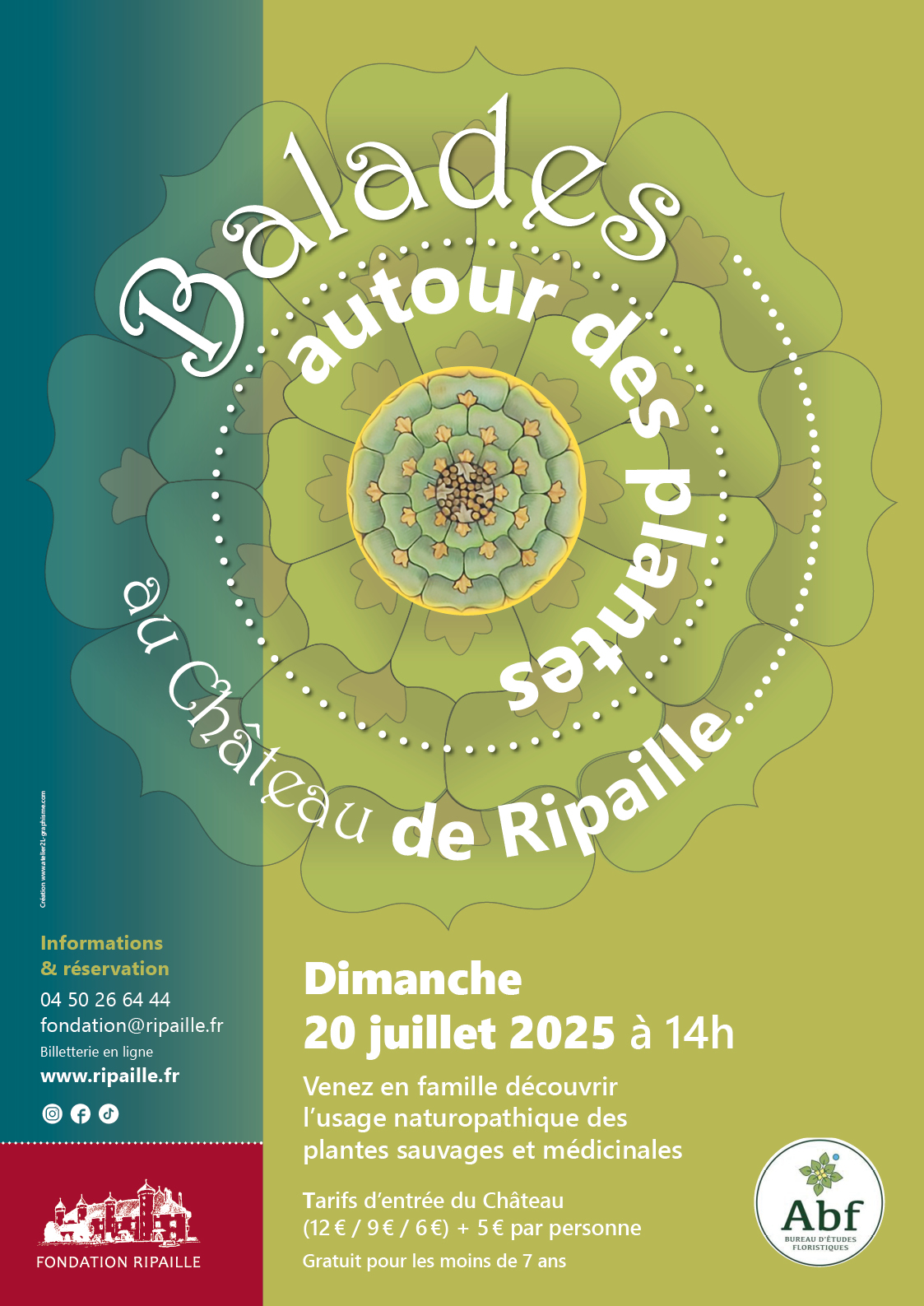 Balade autour des plantes